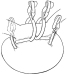 Aktuelles Bild - Abb. 1: Clip-Position