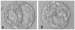 Abb. 9a-b: Blastocyst