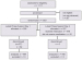 Abb. 1: Patient Assessment