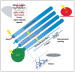Fig. 1: CIPN