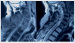 This Image - Fig. 1: Thoracic Spinal Cord