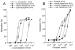 Fig. 2a-b: Koronararterien - KATP-Kanalöffner-Hemmung
