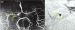 Abb. 6: ToF-Angiogramm