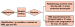 This Image - Fig. 1: EORTC
