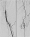 Aktuelles Bild - Abb. 2: Reentry
