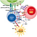 Fig. 1: Glioblastoma