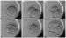 Abb. 2: Series of time-lapse images