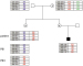Abb. 2: Polar body diagnosis of haemophilia A