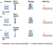 Aktuelles Bild - Abb. 2: Vitrification in open and closed devices
