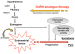 Abb. 17: Mechanisms of action of GnRH agonists