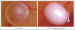 Aktuelles Bild - Abb. 1: CAM-Modell