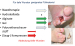 Abb. 5: Diabetisches Fußsyndrom