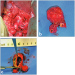 Abb. 5a-c: Sacciformes Aneurysma