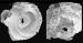 Fig. 6: 3D-Echokardiographie