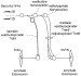 Abb. 1: Neuronale Verschaltung