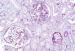 Abb. 3: Light microscopy