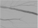 Abb. 6: Erfolgreiche PTA
