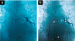 Abb. 3a-b: Cryoablation of LUPV