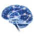 Abb. 1: Brain. ©Novartis Pharma GmbH