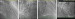 Aktuelles Bild - Abb. 2A-D: Angiographie