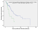 Abb. 4: Charlson-Co-morbidity-Index