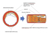 Abb. 1: Drug-eluting Stent
