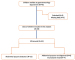 Abb. 1: Flow chart