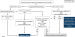 Abb. 4: Leitlinie - Asthma