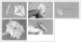 Fig. 1a-e: ASD- und PFO-Occluder