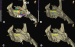 Abb. 3: 3D-Anatomie - Rechter Vorhof