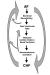 Fig. 1: Vorhofflimmern - Herzinsuffizienz
