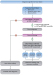 Abb. 1: Diagnosealgorithmus