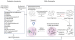 Abb. 4: Prebiotic chemistry