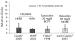 Abb. 6: Raloxifen - Thromboembolie