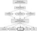Abb. 1: Therapieresistente Depression