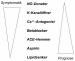 Abb. 1: Koronare Herzkrankheit - Therapie