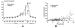 Fig. 9A-B: Epinephrin - Adipositas