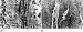 Fig. 7A-B: Adenosin und koronare Mikrozirkulation