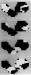 Fig. 2: Ventrikuläre Tachykardie