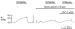 Fig. 9: K-Efflux in Koronararterien
