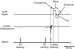 Aktuelles Bild - Abb. 2: Kardiale Kontraktilitätsmodulation