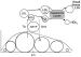 Abb. 2: CETP - VLDL