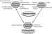 Abb. 6: Dysmenorrhoe - Pathogenese