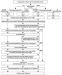Abb. 1: Koronare Perforation - Algorithmus
