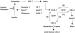 Abb. 2: LDL-Cholesterinpartikel