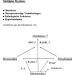 Abb. 4: Knochen - multiples Myelom