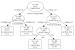 Abb. 1: Hüftfrakturen - Tree Structured Survival Analysis