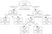 Abb. 3: Hüftfrakturen - Tree Structured Survival Analysis