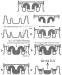 Abb. 2: Zech-Selector(R)
