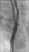 Abb. 6: Resultat